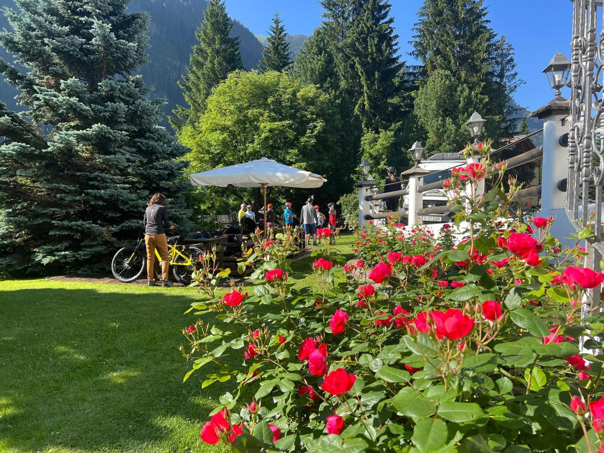 B&B Garni Villa Campitello Campitello di Fassa Esterno foto